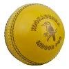 Indoor Cricket Balls