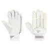 XT 4.0 Cricket Batting Gloves