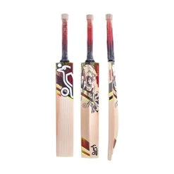Beast 3.1 Junior Cricket Bat