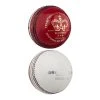 Crest Red/White Cricket Technique Ball