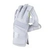 Legend Wicket Keeping Gloves