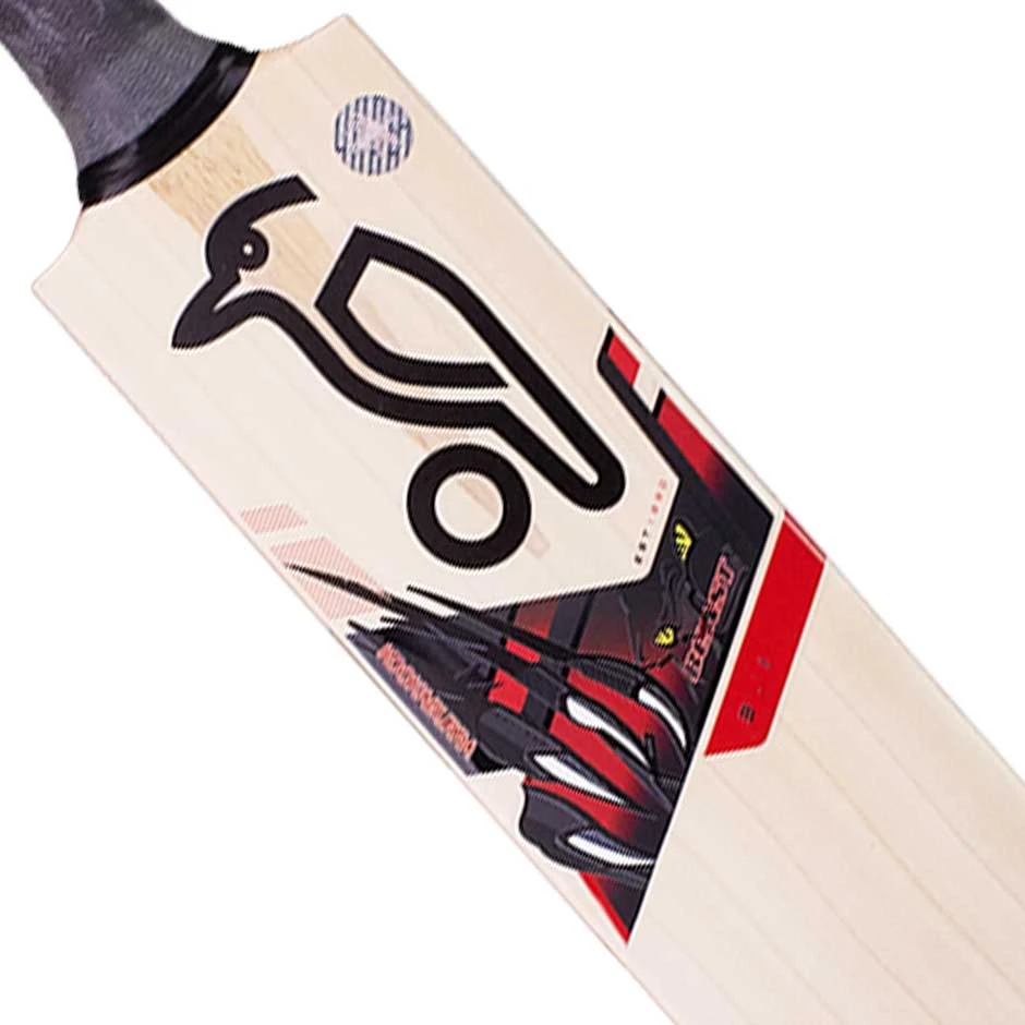 Beast 3.1 Cricket Bat 2022 2 Beast 3.1 Cricket Bat 2022 - Image 2