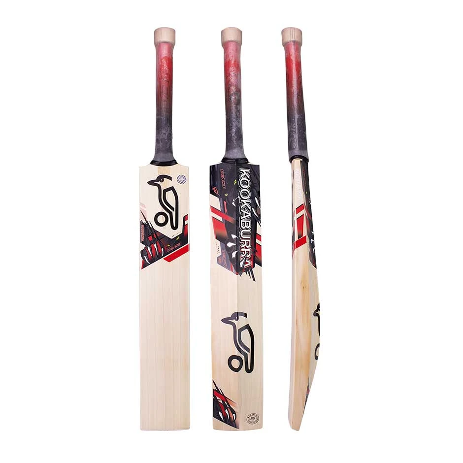 Beast 3.1 Cricket Bat 2022 1 Beast 3.1 Cricket Bat 2022