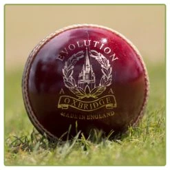 Evolution Cricket Ball