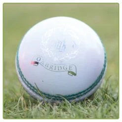 Magna White Cricket Ball