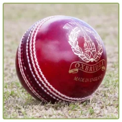 Windsor Cricket Ball