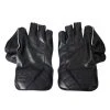 Series 1 LE Wicket Keeping Glove