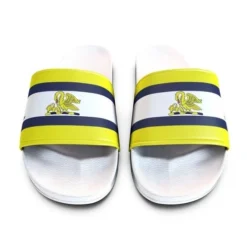 Team Custom Sliders -Sports - Hockey Cricket Slider 7