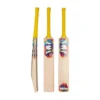 Pro X20 Reserve 2.0 Cricket Bat
