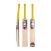 Pro X20 Players 1.0 Cricket Bat