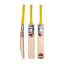 Pro X20 Players 1.0 Cricket Bat